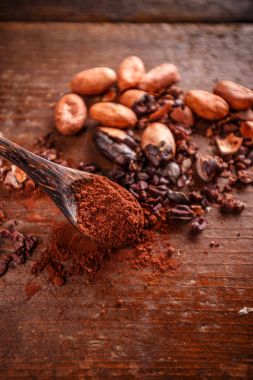 Organik kakao çekirdekleri