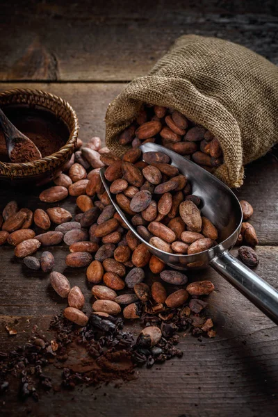 Geroosterde cacaobonen — Stockfoto