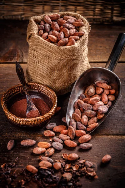 Granos de cacao orgánicos — Foto de Stock