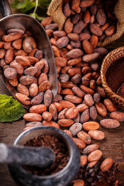 Geroosterde cacaobonen — Stockfoto