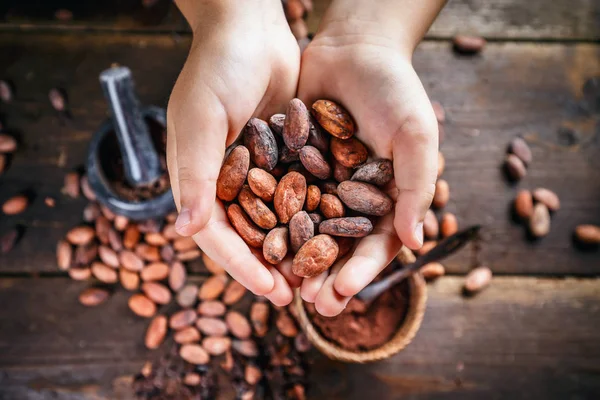 Hand houdt cacaobonen — Stockfoto