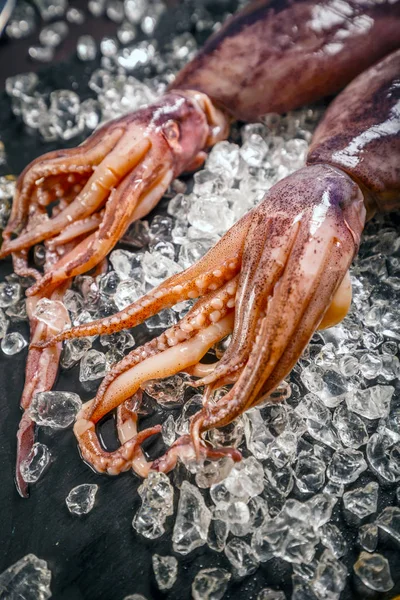 Fresh raw cuttlefish Stock Picture