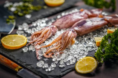 Buz üzerinde taze mürekkep balığı