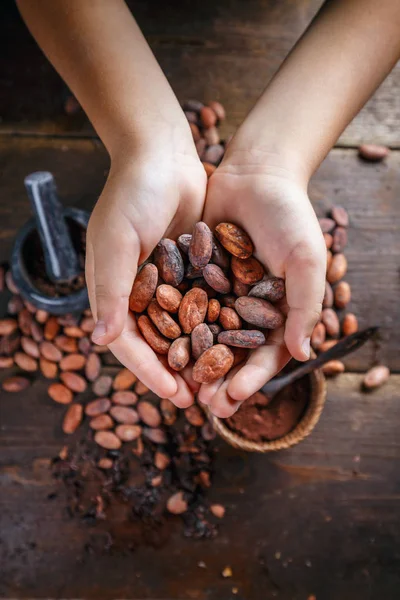 Mano sostiene granos de cacao —  Fotos de Stock