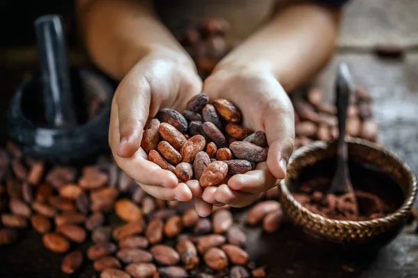 Fagioli di cacao aromatici — Foto Stock