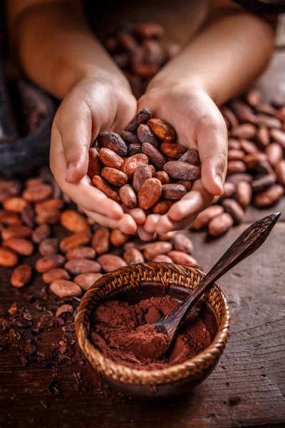 Смажені боби какао — стокове фото