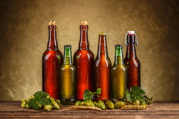 Row of beer bottles Royalty Free Stock Photos