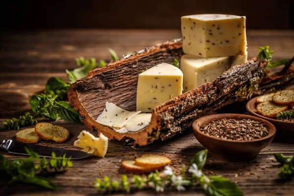 Kaas op een schors — Stockfoto