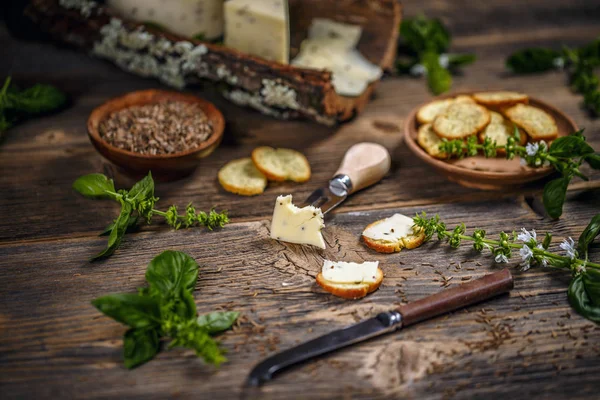 Conceito de queijo — Fotografia de Stock