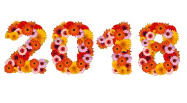 2018 çiçek yaptı