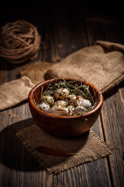 Tahta kasede bıldırcın yumurtası.