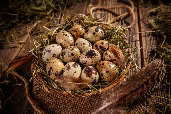 Čerstvé křepelčí vejce — Stock fotografie