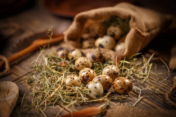 Färska vaktelägg — Stockfoto