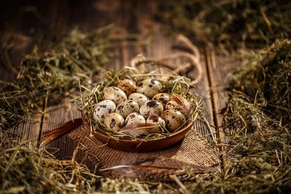 Ovos de codorna em prato — Fotografia de Stock