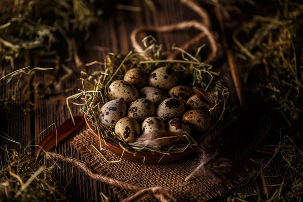 Ovos de codorna em ninho de feno — Fotografia de Stock