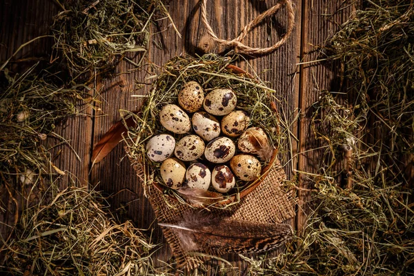 Vista superior de ovos de codorna — Fotografia de Stock