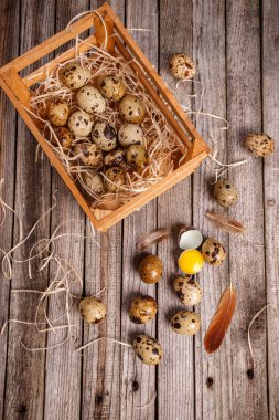 Bıldırcın yumurtası içinde krater