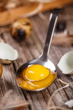 taze Bıldırcın yumurta