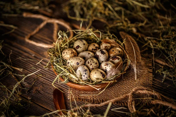 Uova di quaglia fresche — Foto Stock