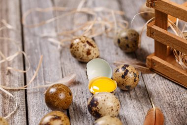 taze Bıldırcın yumurta