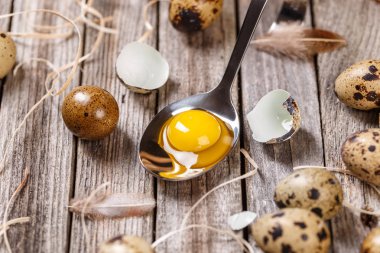 taze Bıldırcın yumurta