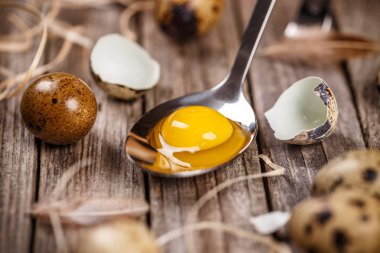 taze Bıldırcın yumurta