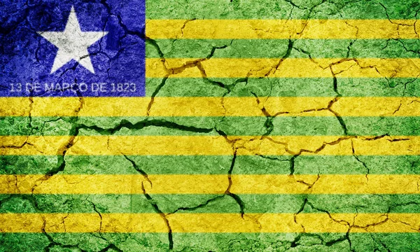 Braziliaanse deelstaat Piauí, staat van Brazilië, vlag — Stockfoto