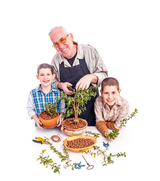 Hombre mayor con sus nietos — Foto de Stock