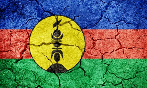 Vlag van Nieuw-Caledonië — Stockfoto