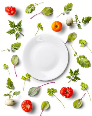 İzole edilmiş beyaz plaka