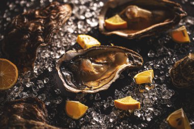 yeni açılan istiridye