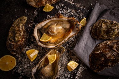 taze istiridye yakın çekim