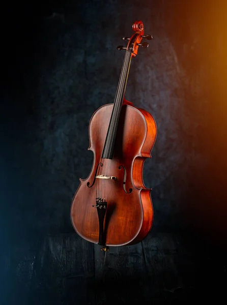 Klassisches Streichinstrument — Stockfoto