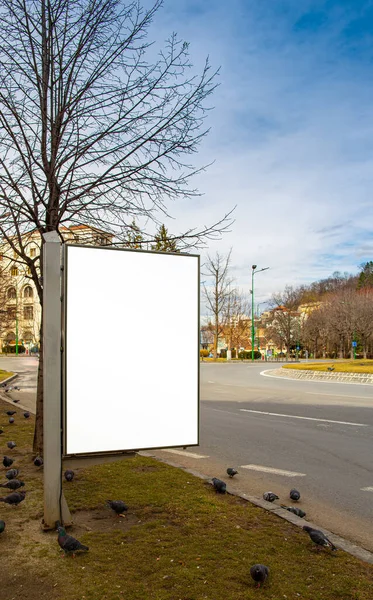 Straat billboard met kopieerruimte — Stockfoto