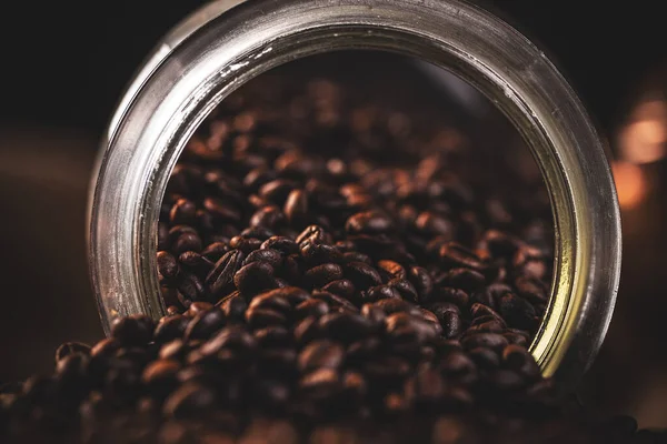 Kaffeebohnen-Konzept Stockfoto