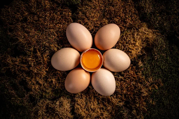 Νωπά αυγά — Φωτογραφία Αρχείου