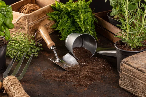 Садовые инструменты и посуда — стоковое фото