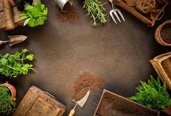 Voorjaar hobby tuin werken concept — Stockfoto