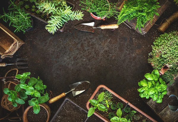 Fundo de jardinagem com portagens de jardim — Fotografia de Stock