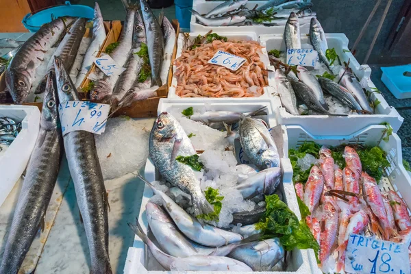 Piaci stand halakkal és tenger gyümölcseivel — Stock Fotó