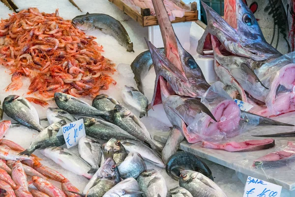 Kılıç balığı ve diğer balık ve deniz ürünleri — Stok fotoğraf