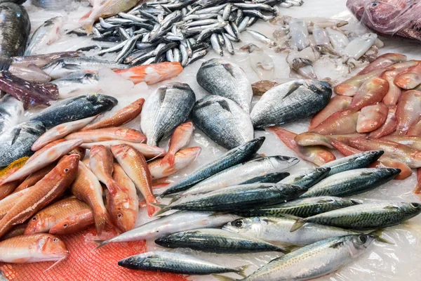 Colorida selección de pescado en un mercado —  Fotos de Stock