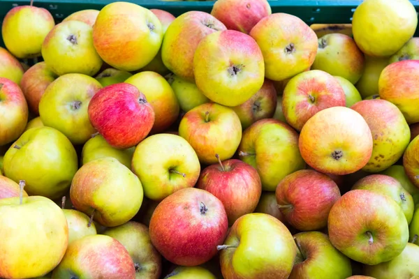 Manzanas maduras en venta — Foto de Stock