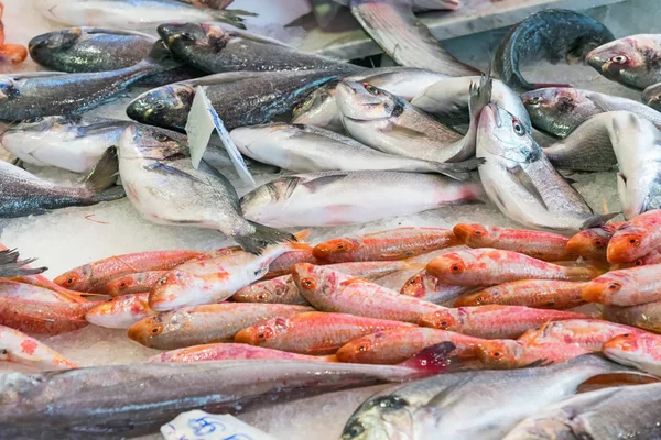 Φρέσκο ψάρι στην αγορά Vucciria στο Παλέρμο — Φωτογραφία Αρχείου