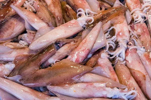Fresh squid at a market in Palermo — Stock Photo, Image