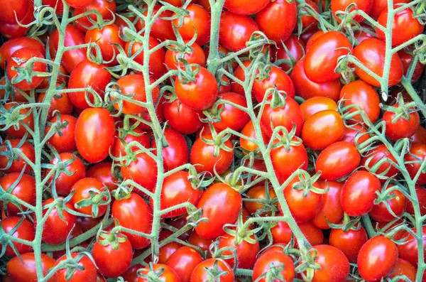 Piccoli pomodorini ciliegini in vendita in un mercato — Foto Stock