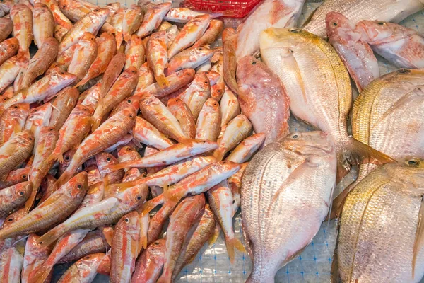 Fresh fish at a market in Palermo — Stock Photo, Image