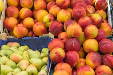 Nektarin ve armut bir Pazar