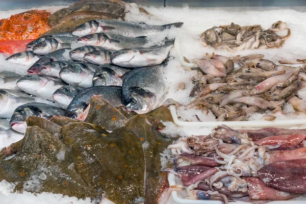 Рыба и кальмары на продажу — стоковое фото