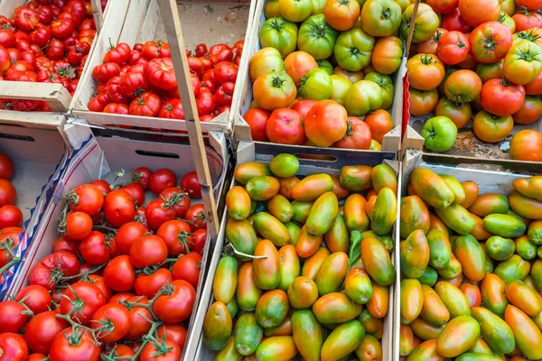 パレルモの市場でトマト — ストック写真